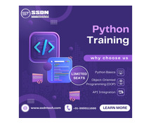 python programming online in boston