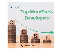 Cost-Effective & Skilled: Top WordPress Developers Based in India