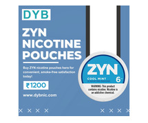 Zyn nicotine pouches - DYB