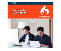 Are you looking CodeIgniter Development Services? Then Choose This Company
