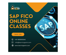 Top SAP FICO Online Classes & SAP Training Certification