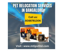 Get Pet Relocation Services in Bangalore