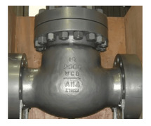 Check valve manufacturer in Libya