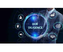 Business Due Diligence Services in India