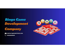 Top Bingo Game Development Company