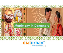 Best Matrimony & Marriage Bureau in Damandiu|Dialurban