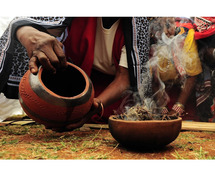 +27833895606 Trusted Traditional Healer in soweto|Mamelodi|Alberton|Borksburg