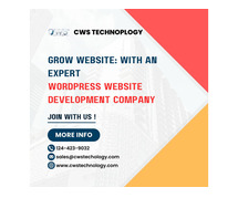 Grow Website: With an expert WordPress website development company