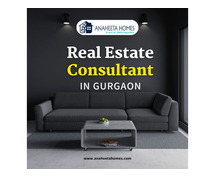 Real Estate Consultant in Gurgaon