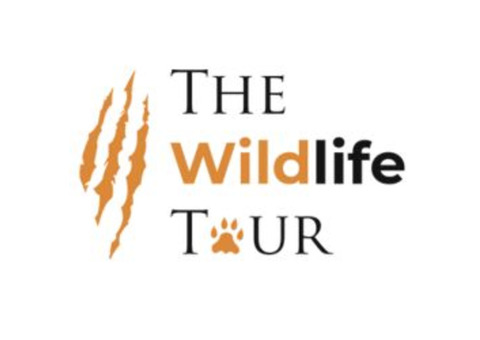 Kanha National Park | Safari in Kanha National Park - The Wildlife Tour