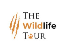 Kanha National Park | Safari in Kanha National Park - The Wildlife Tour