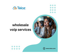 Security Considerations in Wholesale VoIP Networks