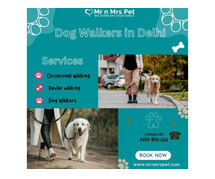 The Best Dog Walkers in Delhi