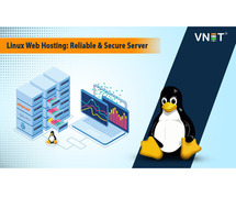Grow Your Business with Linux Web Hosting from VNET India