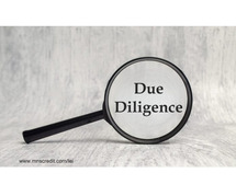 Financial Due Diligence Report