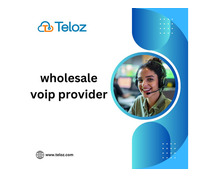 Wholesale VoIP Providers and Global Connectivity