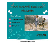 Best Dog Walking Services at Home in Mumbai