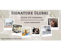 Signature Global Sector 37 Gurgaon - An Iconic Address