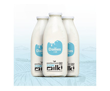 Top-Quality A2 Milk Available for Purchase in Rajkot