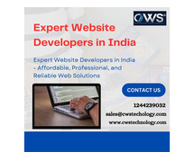 Expert Website Developers in India - Get your dream site