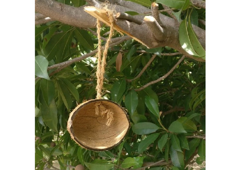 Coconut shells wholesale in Tuticorin | Omni Products Export Company