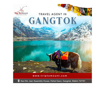 Travel agent in Gangtok Trip to Mount