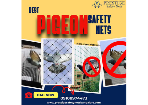 Choose Prestige for Pigeon Safety Nets in Bangalore with the Best Price