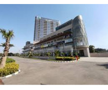 Discover Luxury commercial spaces at Elan Mercado, Sector 80