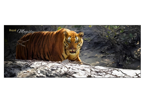 SUNDARBAN TOUR PACKAGE