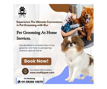 Best Dog Grooming In Delhi | Snoffy Paw
