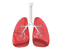 Strategies for Better Lungs Capacity Improvement