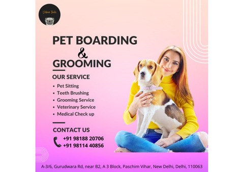 Urban Tails - Pet Grooming & Boarding In Paschim Vihar