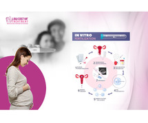 Discover the Cost of IVF Treatment in India - Low Cost IVF Treatment