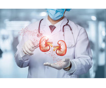 Are you a physician seeking to specialize in kidney care?