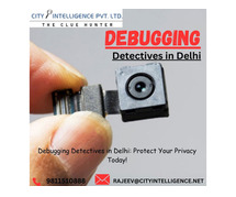 Debugging Sweep Services in Delhi | Secure Your Privacy Today