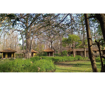 Family Weekend Getaways in Jim Corbett - Camping in Bijrani Jungle Cottages