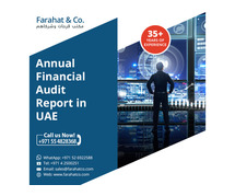 Financial Statement Audit Report in UAE