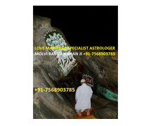 Top Astrologer For Love Problem Solution Expert 7568903785