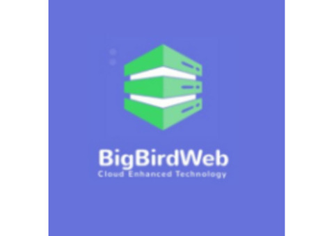 Bigbirdweb VPS Hosting