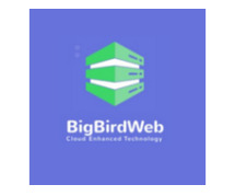 Bigbirdweb VPS Hosting