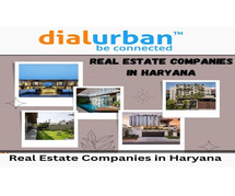 Real Estate Companies in Haryana