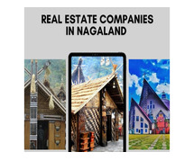 Real Estate Companies in Nagaland