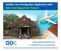 Fast and Reliable: DNA Testing in Thane