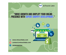 Shopify Web Developers in Hyderabad