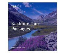 kashmir packages for couple