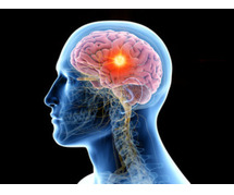 Brain doctor in Faridabad