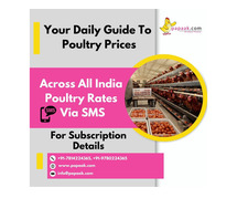 Get Daily Poultry Rates Across India via SMS