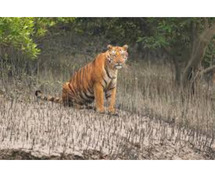 SUNDARBAN 2 NIGHTS 3 DAYS