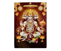 Powerful Love Vashikaran Specialist Astrologer +91-8557948075