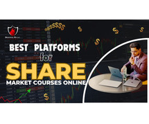 Learn the Stock Market Anytime, Anywhere!